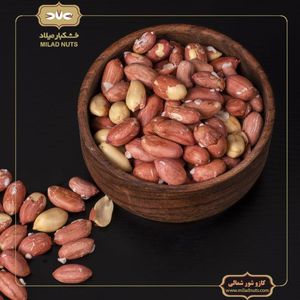 کازو شور شمالی